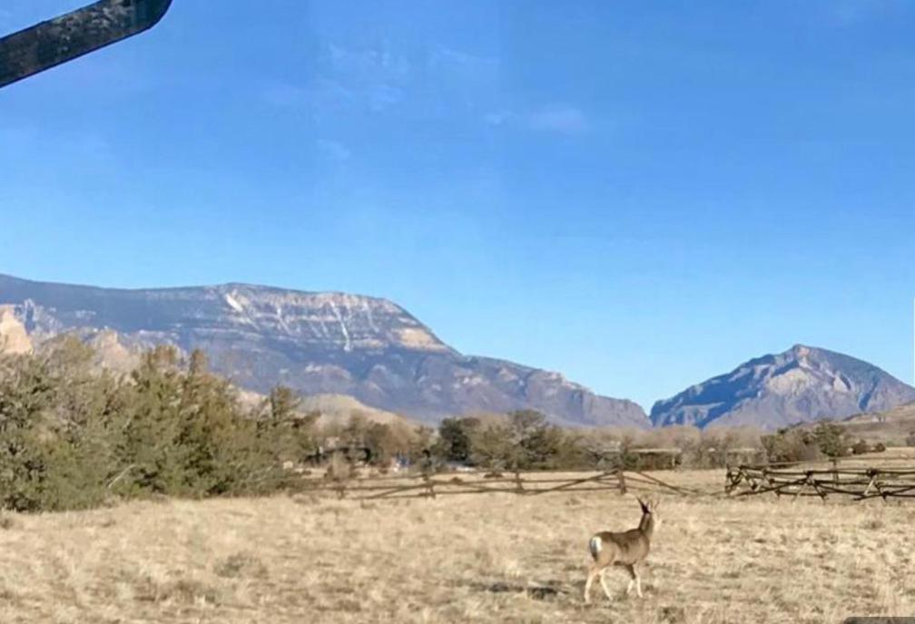 Yellowstone Cutthroat Guest Ranch Hotel Wapiti Exterior foto